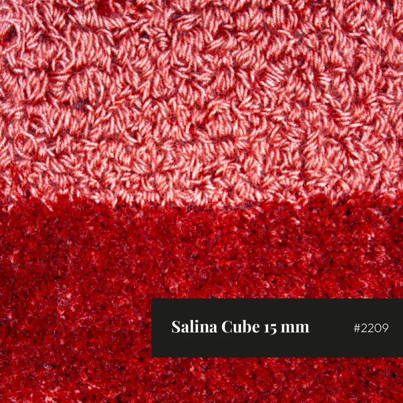 Salina Cube