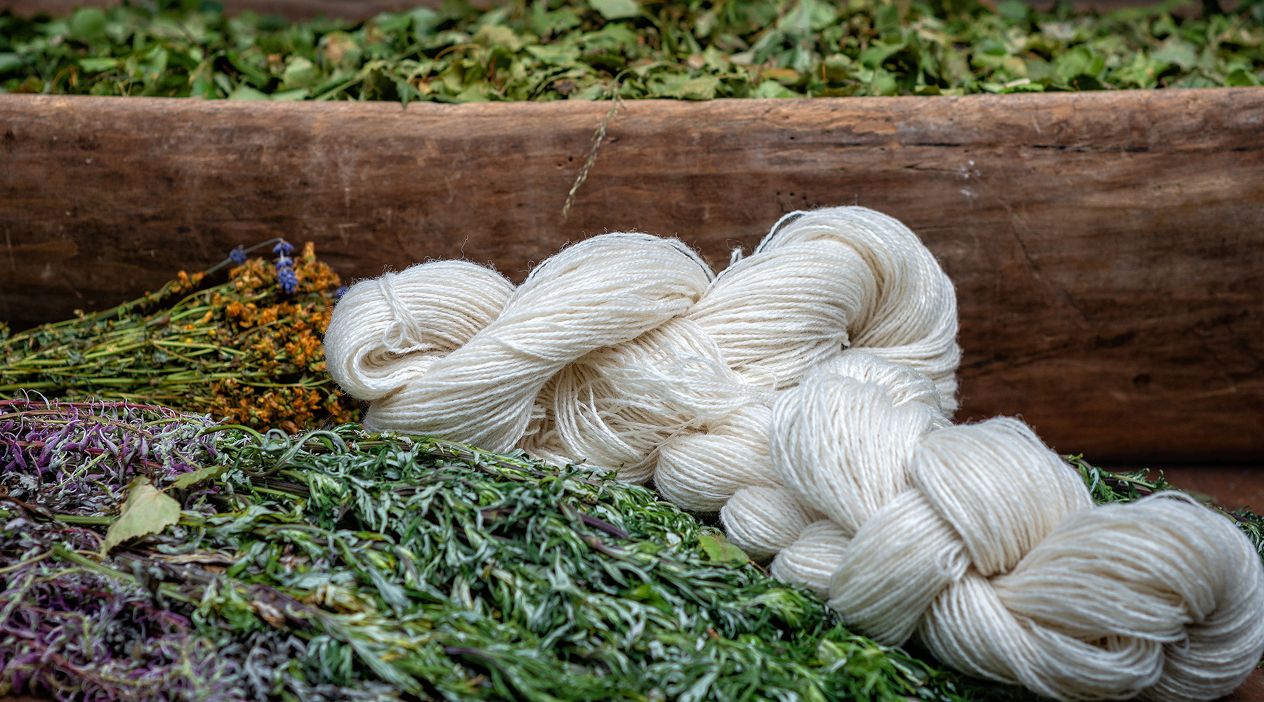 Eucalyptus (Tencel)